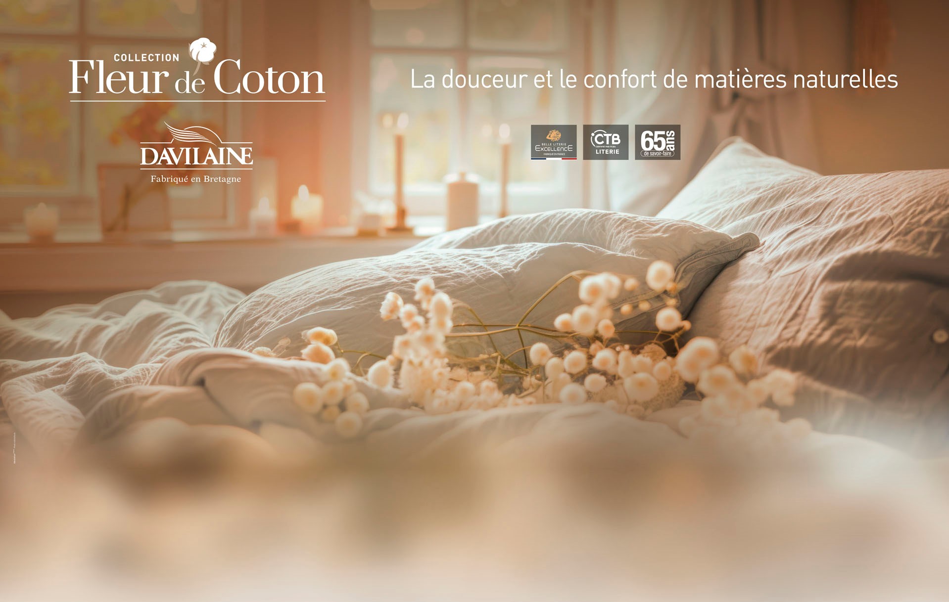 PLV_FLEUR_COTON_